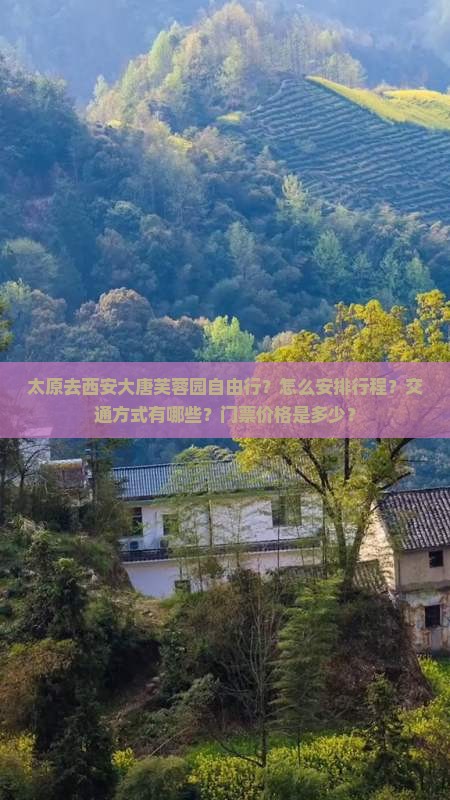 太原去西安大唐芙蓉园自由行？怎么安排行程？交通方式有哪些？门票价格是多少？