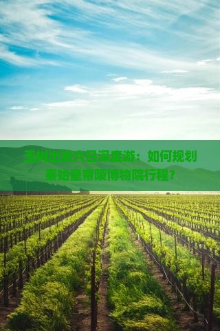 玉树出发六日深度游：如何规划秦始皇帝陵博物院行程？
