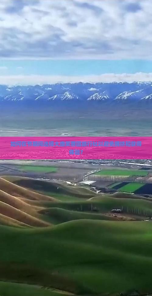 如何在节期间选择大唐芙蓉园旅行社以避免拥挤和获得体验？