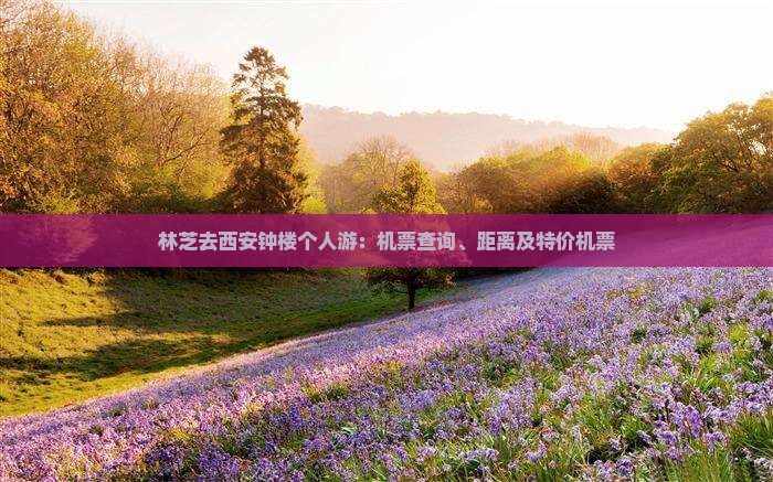 林芝去西安钟楼个人游：机票查询、距离及特价机票