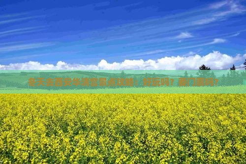 冬天去西安华清宫景点攻略：好玩吗？要门票吗？
