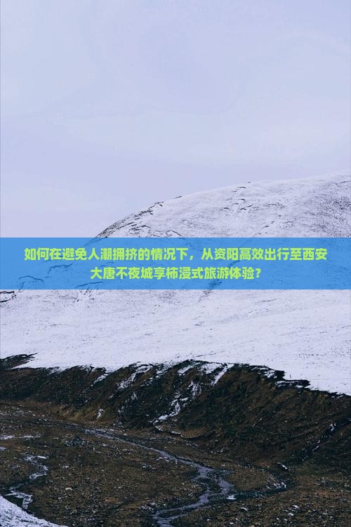 如何在避免人潮拥挤的情况下，从资阳高效出行至西安大唐不夜城享柿浸式旅游体验？