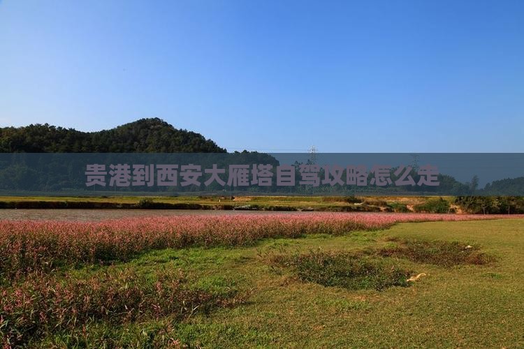 贵港到西安大雁塔自驾攻略怎么走