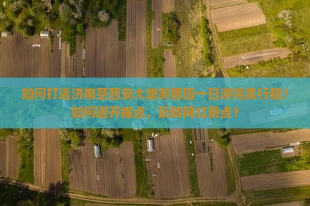 如何打造济南至西安大唐芙蓉园一日游完美行程？如何避开痛点，玩转网红景点？