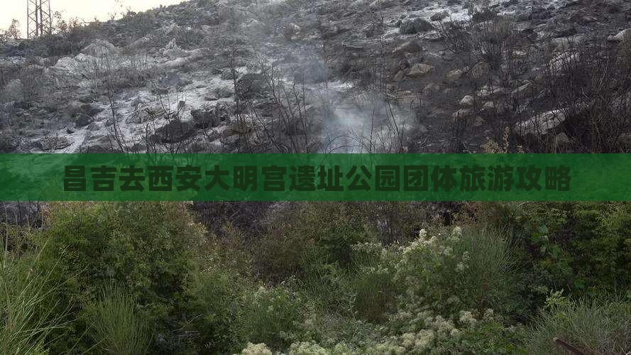 昌吉去西安大明宫遗址公园团体旅游攻略