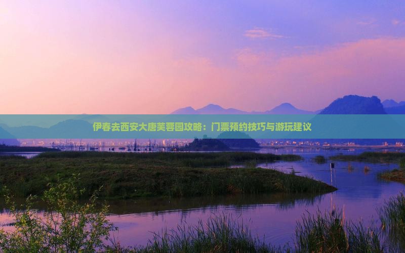 伊春去西安大唐芙蓉园攻略：门票预约技巧与游玩建议