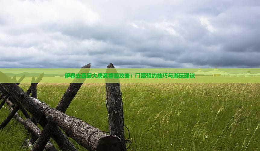 伊春去西安大唐芙蓉园攻略：门票预约技巧与游玩建议