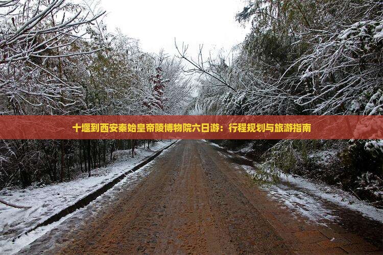十堰到西安秦始皇帝陵博物院六日游：行程规划与旅游指南