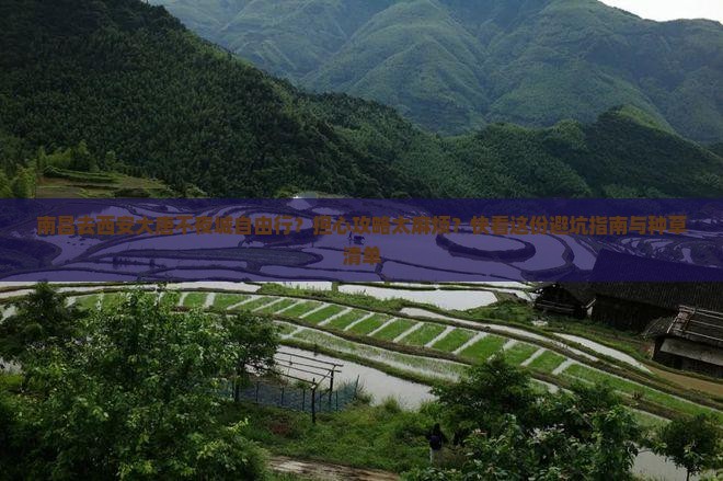 南昌去西安大唐不夜城自由行？担心攻略太麻烦？快看这份避坑指南与种草清单