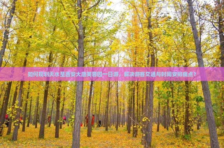 如何规划天水至西安大唐芙蓉园一日游，解决游客交通与时间安排痛点？