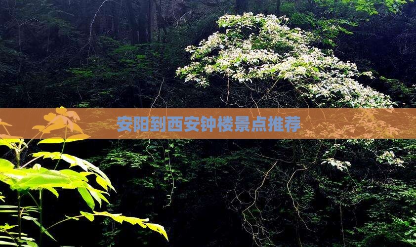 安阳到西安钟楼景点推荐