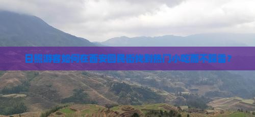 日照游客如何在西安回民街找到热门小吃而不踩雷？