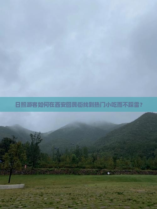 日照游客如何在西安回民街找到热门小吃而不踩雷？