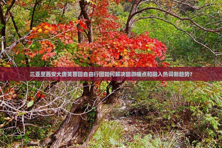三亚至西安大唐芙蓉园自由行团如何解决旅游痛点和融入热词新趋势？