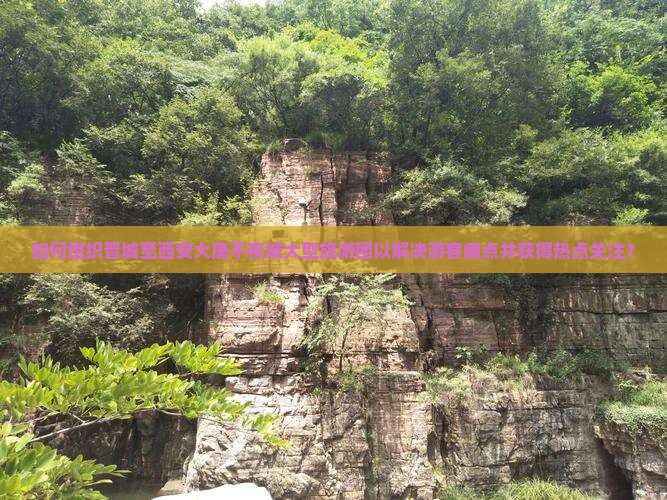 如何组织晋城至西安大唐不夜城大型旅游团以解决游客痛点并获得热点关注？