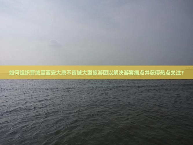 如何组织晋城至西安大唐不夜城大型旅游团以解决游客痛点并获得热点关注？