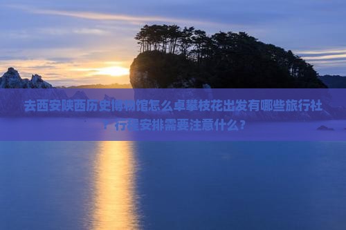 去西安陕西历史博物馆怎么卓攀枝花出发有哪些旅行社？行程安排需要注意什么？