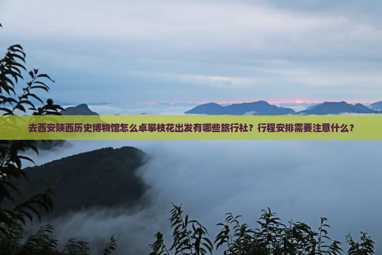 去西安陕西历史博物馆怎么卓攀枝花出发有哪些旅行社？行程安排需要注意什么？