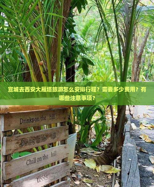 宣城去西安大雁塔旅游怎么安排行程？需要多少费用？有哪些注意事项？