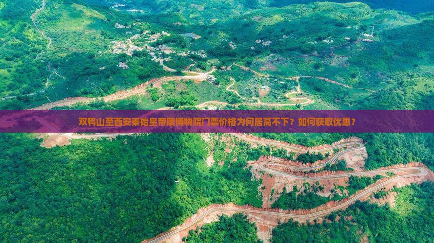 双鸭山至西安秦始皇帝陵博物院门票价格为何居高不下？如何获取优惠？