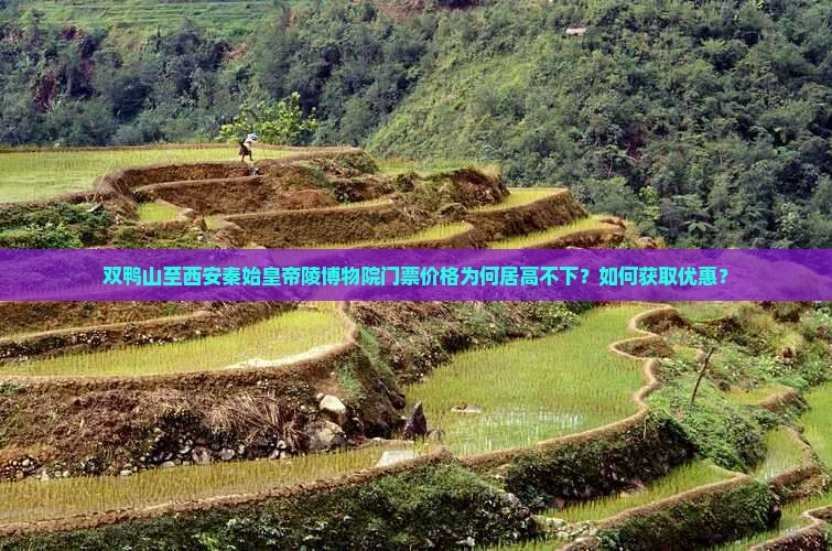 双鸭山至西安秦始皇帝陵博物院门票价格为何居高不下？如何获取优惠？