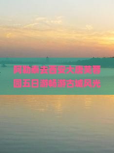 阿勒泰去西安大唐芙蓉园五日游畅游古城风光之旅