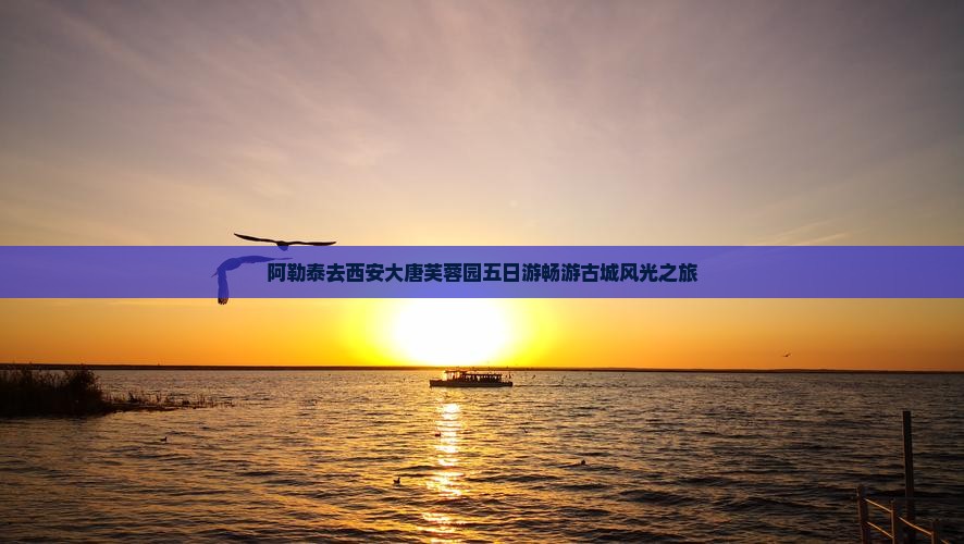 阿勒泰去西安大唐芙蓉园五日游畅游古城风光之旅