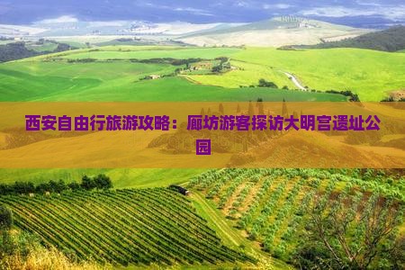 西安自由行旅游攻略：廊坊游客探访大明宫遗址公园