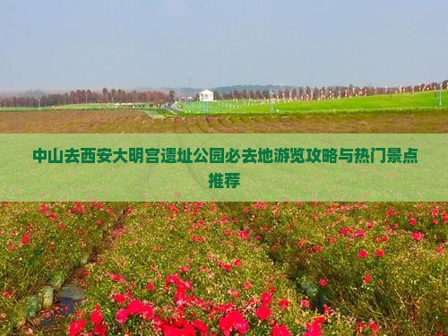 中山去西安大明宫遗址公园必去地游览攻略与热门景点推荐