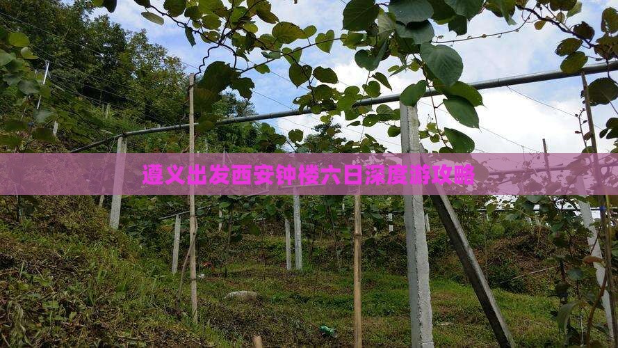 遵义出发西安钟楼六日深度游攻略