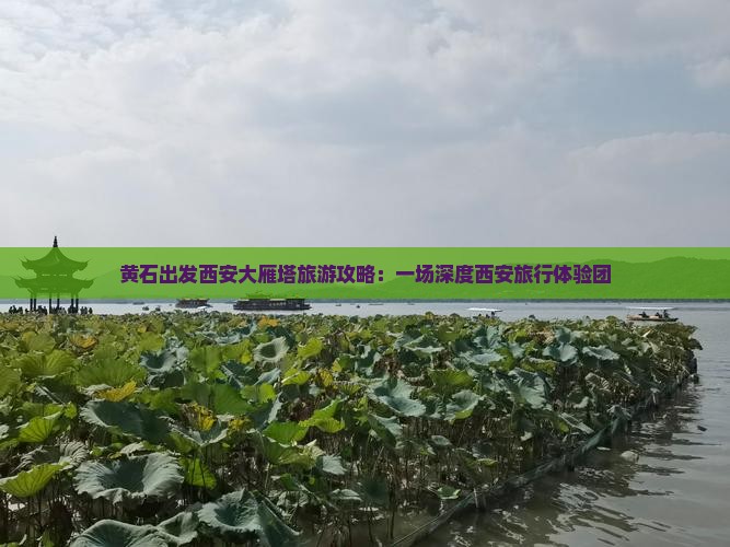 黄石出发西安大雁塔旅游攻略：一场深度西安旅行体验团