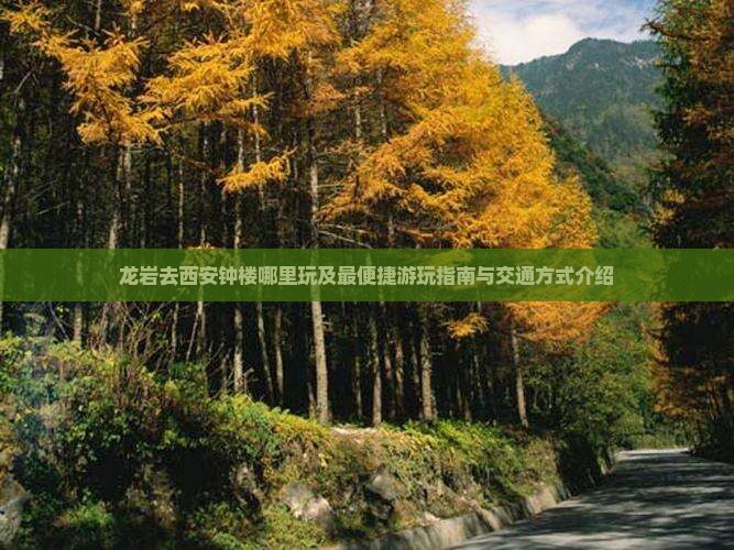 龙岩去西安钟楼哪里玩及最便捷游玩指南与交通方式介绍