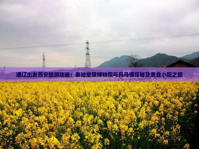 通辽出发西安旅游攻略：秦始皇陵博物院与兵马俑探秘及美食小吃之旅