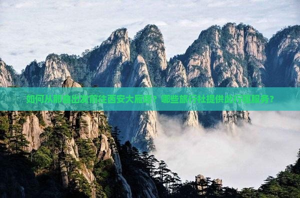 如何从那曲出发前往西安大雁塔？哪些旅行社提供此行程服务？