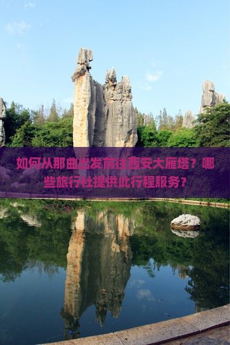 如何从那曲出发前往西安大雁塔？哪些旅行社提供此行程服务？