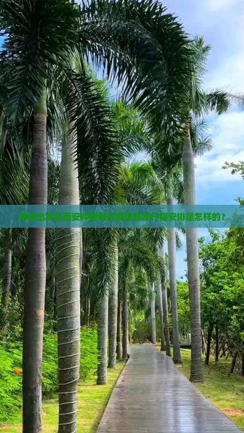 贵阳出发至西安钟楼四日游攻略及行程安排是怎样的？