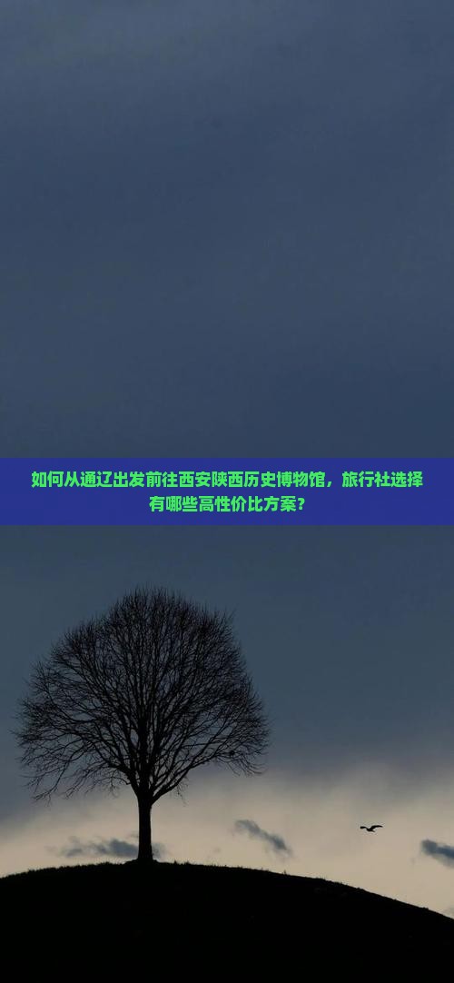 如何从通辽出发前往西安陕西历史博物馆，旅行社选择有哪些高性价比方案？