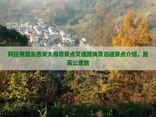 阿拉善盟去西安大雁塔景点交通路线及沿途景点介绍，距离公里数