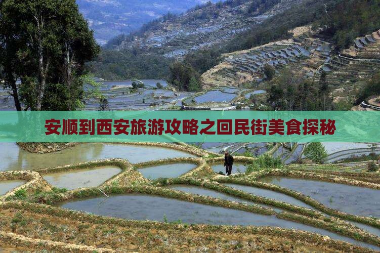 安顺到西安旅游攻略之回民街美食探秘