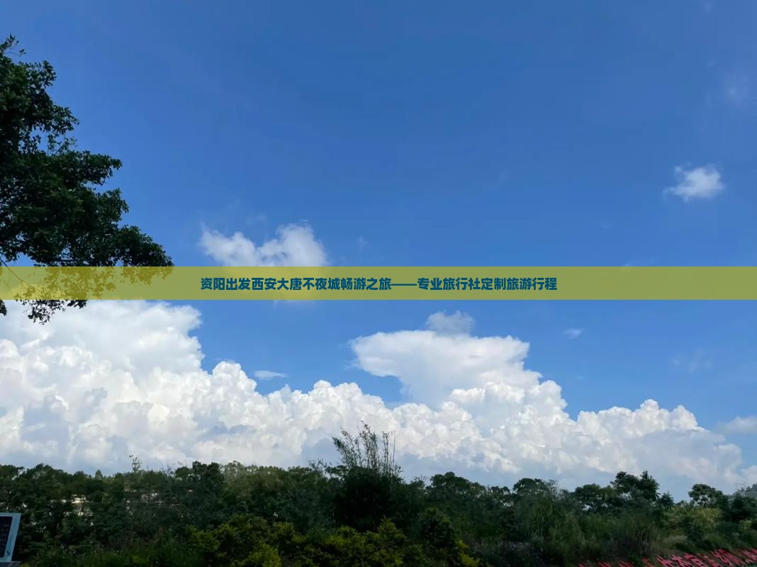 资阳出发西安大唐不夜城畅游之旅——专业旅行社定制旅游行程