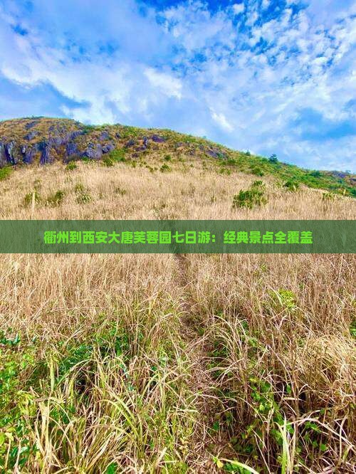 衢州到西安大唐芙蓉园七日游：经典景点全覆盖