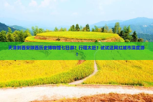 天津到西安陕西历史博物馆七日游？行程太赶？试试这网红城市深度游！
