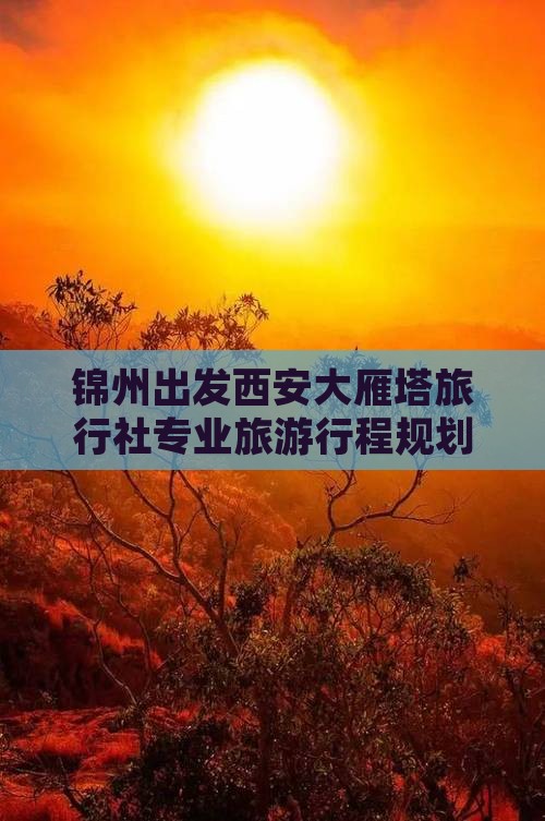锦州出发西安大雁塔旅行社专业旅游行程规划