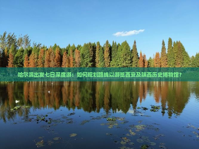 哈尔滨出发七日深度游：如何规划路线以游览西安及陕西历史博物馆？