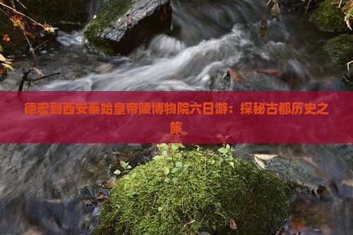德宏到西安秦始皇帝陵博物院六日游：探秘古都历史之旅