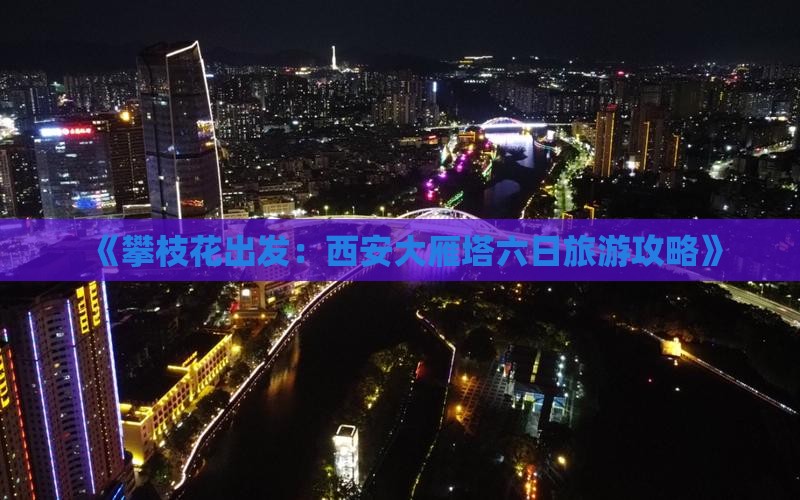 《攀枝花出发：西安大雁塔六日旅游攻略》