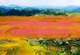 三日西安旅游攻略：陕西历史博物馆深度游览全纪录