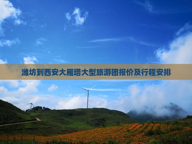 潍坊到西安大雁塔大型旅游团报价及行程安排