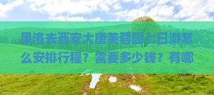 果洛去西安大唐芙蓉园七日游怎么安排行程？需要多少钱？有哪些注意事项？