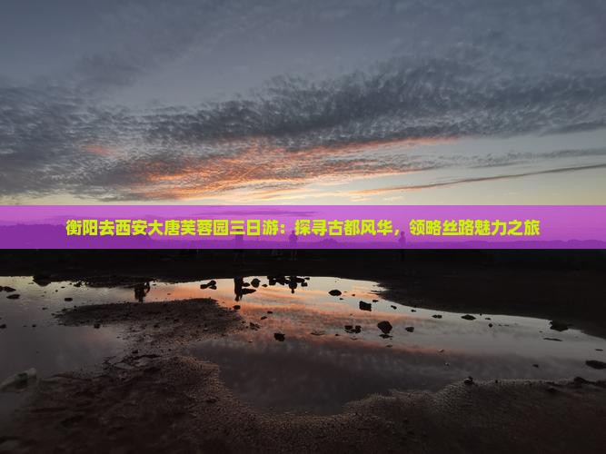 衡阳去西安大唐芙蓉园三日游：探寻古都风华，领略丝路魅力之旅